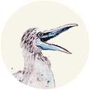 Logo: Bo Blaufuß