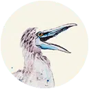 Logo: Bo Blaufuß