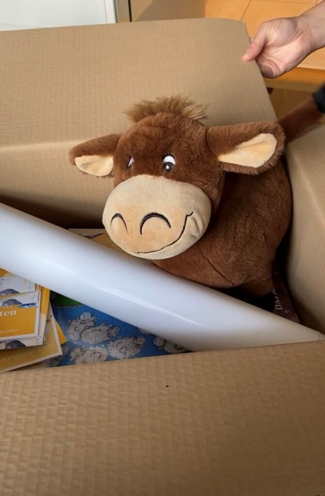 Kuscheltier Elsa im Kita-Paket