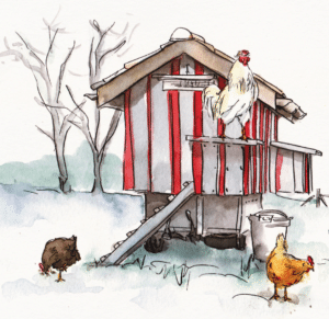 Hahn Nikolaus und zwei Hühner an einem Hühnerstall