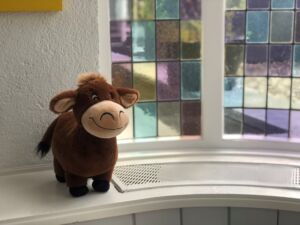 Plüsch-Elsa setzt sich in Szene