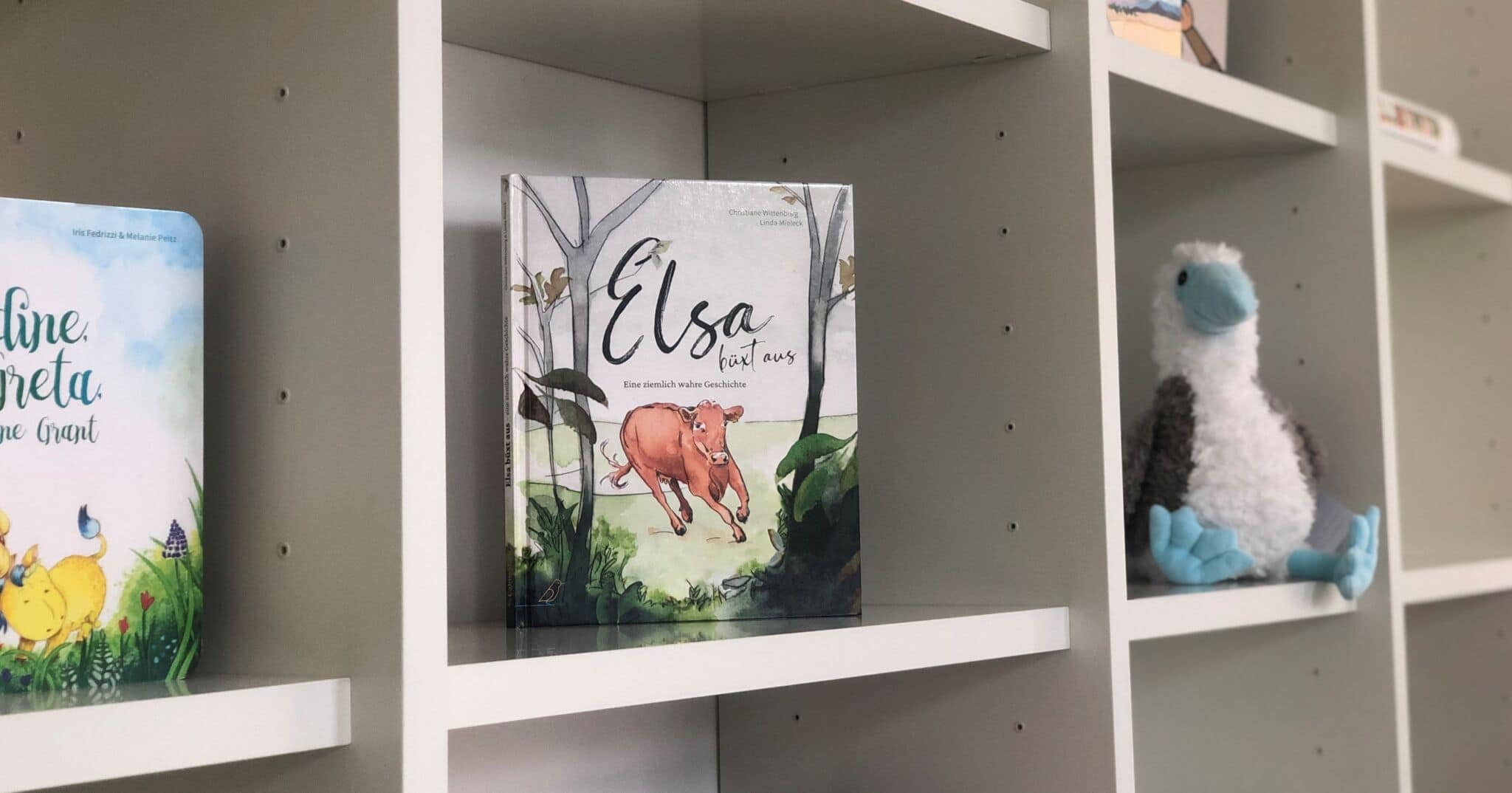 Buch »Elsa büxt aus« im Regal