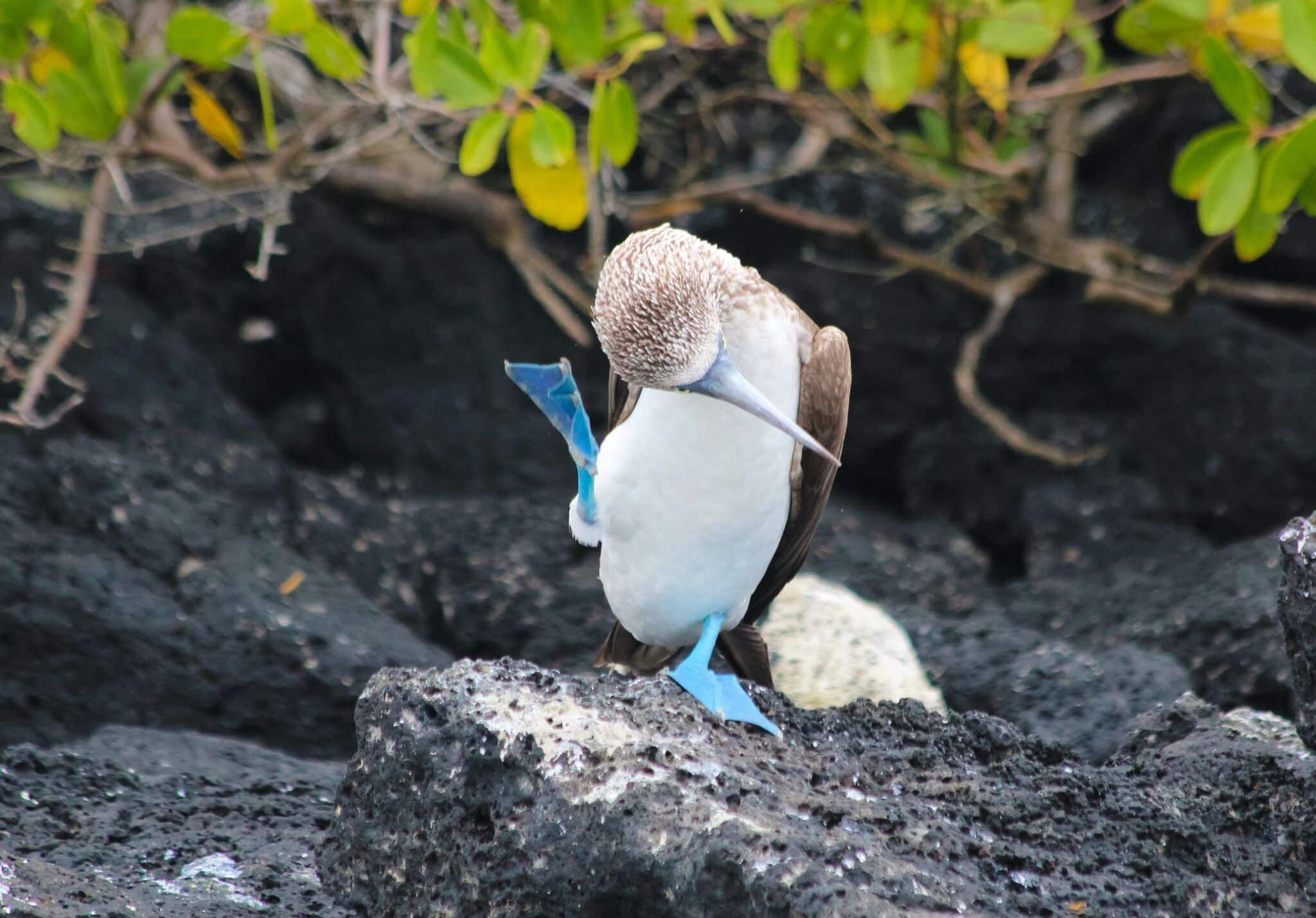 Foto: Bo Blaufuß in echter Natur