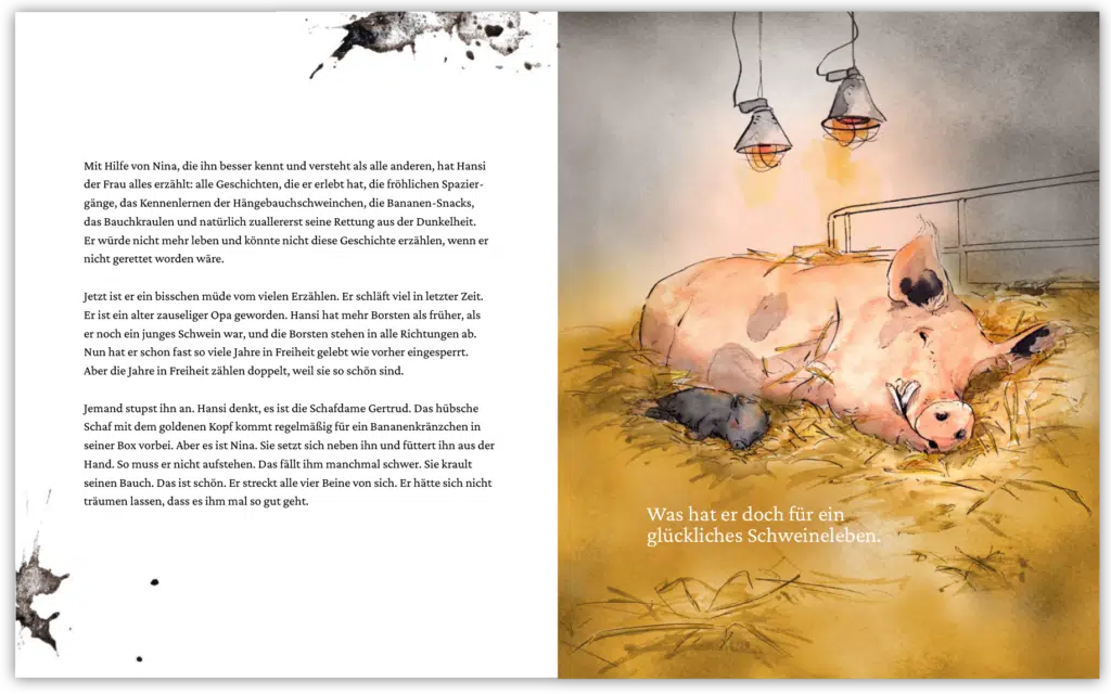 Innenseite von "Ein Buch für Hansi": Bild: Hansi und ein kleineres Schwein liegen auf einem Strohhaufen, Aufschrift "Was hat er doch für ein glückliches Schweineleben"; Text: Mit Hilfe von Nina, die ihn besser kennt und versteht als alle anderen, hat Hansi der Frau alles erzählt: alle Geschichten, die er erlebt hat, die fröhlichen Spaziergänge, das Kennenlernen der Hängebauchschweinchen, die Bananen-Snacks, das Bauchkraulen und natürlich zuallererst seine Rettung aus der Dunkelheit. Er würde nicht mehr leben und könnte nicht diese Geschichte erzählen, wenn er nicht gerettet worden wäre. Jetzt ist er ein bisschen müde vom vielen Erzählen. Er schläft viel in letzter Zeit. Er ist ein alter zauseliger Opa geworden. Hansi hat mehr Borsten als früher, als er noch ein junges Schwein war, und die Borsten stehen in alle Richtungen ab. Nun hat er schon fast so viele Jahre in Freiheit gelebt wie vorher eingesperrt. Aber die Jahre in Freiheit zählen doppelt, weil sie so schön sind. Jemand stupst ihn an. Hansi denkt, es ist die Schafdame Gertrud. Das hübsche Schaf mit dem goldenen Kopf kommt regelmäßig für ein Bananenkränzchen in seiner Box vorbei. Aber es ist Nina. Sie setzt sich neben ihn und füttert ihn aus der Hand. So muss er nicht aufstehen. Das fällt ihm manchmal schwer. Sie krault seinen Bauch. Das ist schön. Er streckt alle vier Beine von sich. Er hätte sich nicht träumen lassen, dass es ihm mal so gut geht.