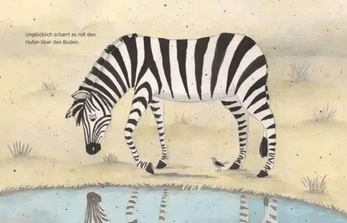 Innenseite " Das Spiegelzebra ": Bild: ein Zebra läuft traurig an Wasser vorbei; Text: Unglücklich scharrt es mit den Hufen über den Boden.