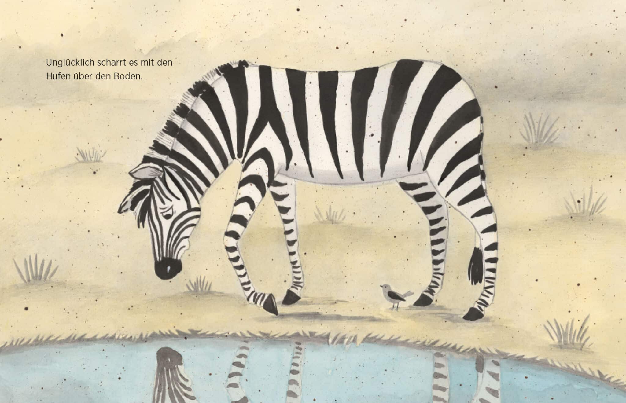 Innenseite " Das Spiegelzebra ": Bild: ein Zebra läuft traurig an Wasser vorbei; Text: Unglücklich scharrt es mit den Hufen über den Boden.