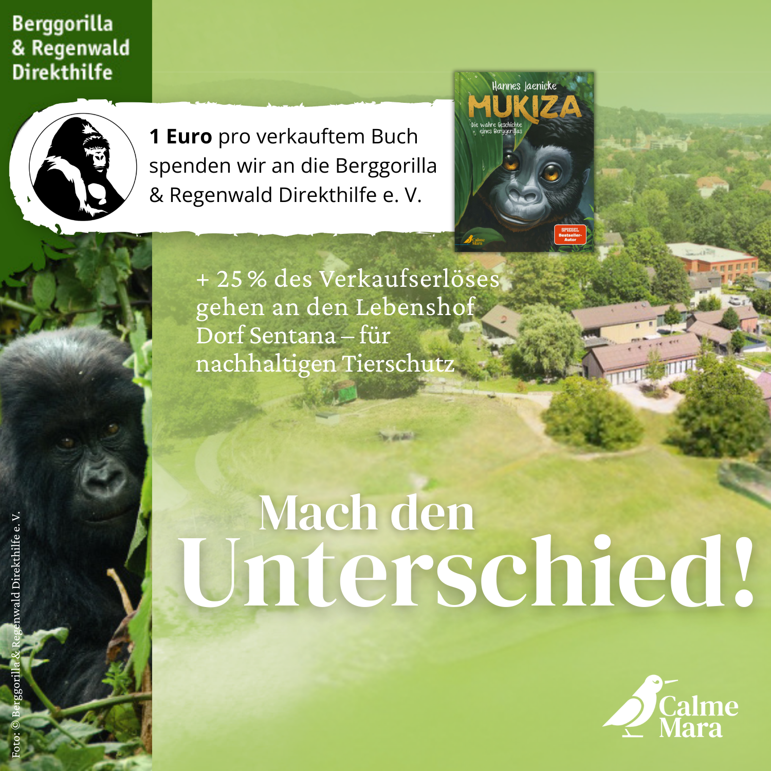 Spendenerklärung des Buches. Zusätzlich zur Spende an das Dorf Sentana wird ein Euro an die Berggorilla Und Regenwaldhilfe gespendet.