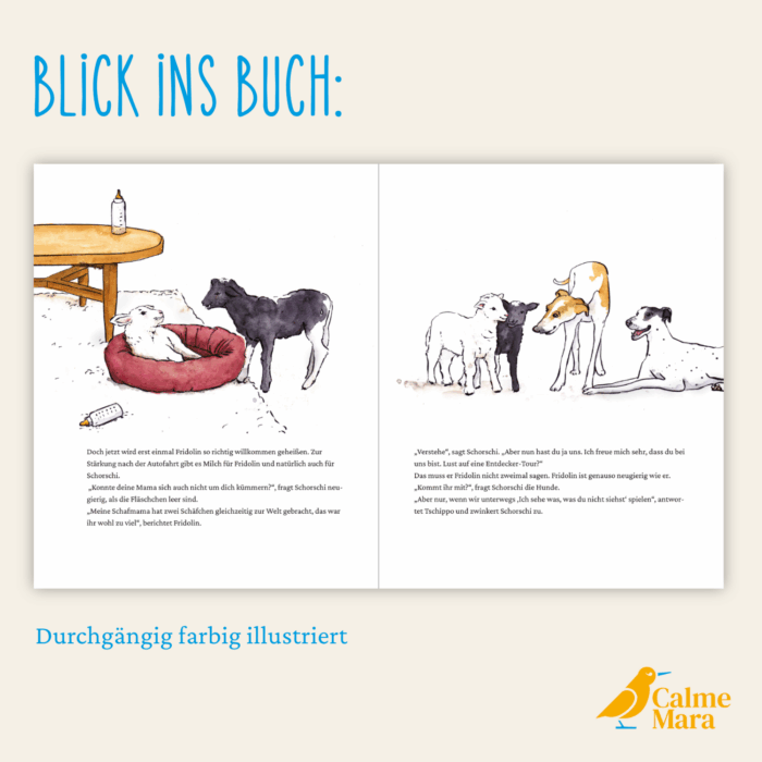 Blick ins Buch "Schorschi und das bunte Familiending"
