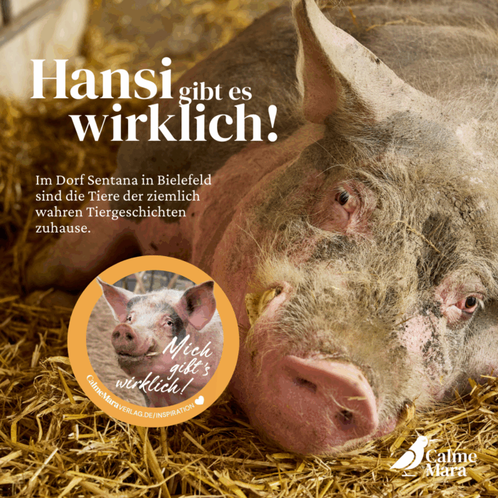 Text: Hansi gibt es wirklich. Mit Abbildung vom Tier.