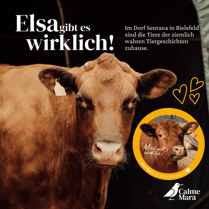 Text: Elsa gibt es wirklich. Mit Abbildung vom Tier