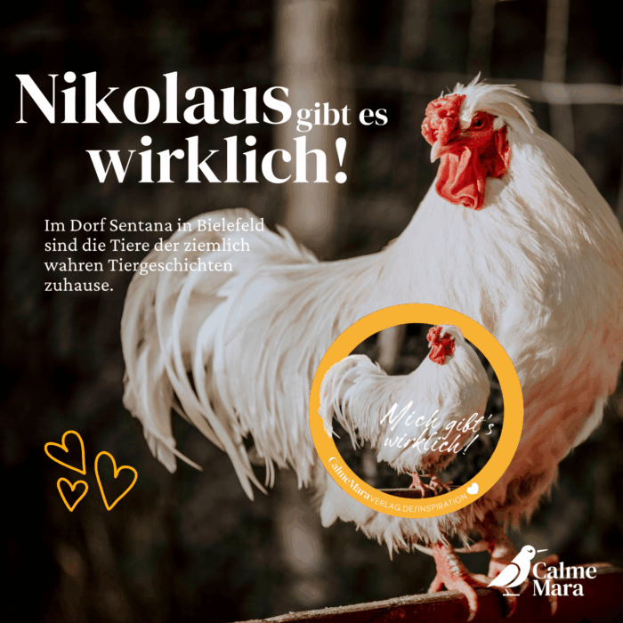 Text: Nikolaus gibt es wirklich. Mit abgebildetem Tier