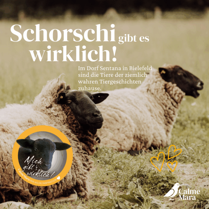 Text: Schorschi gibt es wirklich. Mit Abbildung des Tiers.