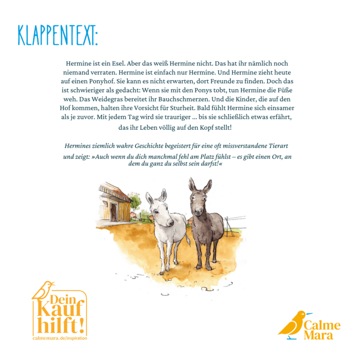 Klappentext des Buches