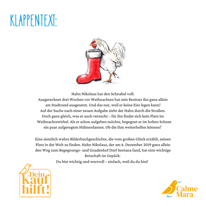 Klappentext des Buches