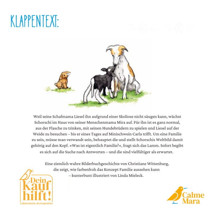 Klappentext des Buches