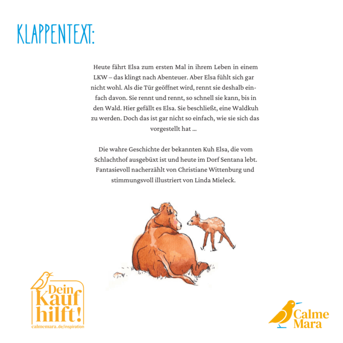 Klappentext des Buches